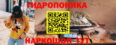 индика Кимры