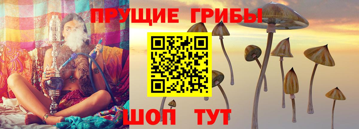 Псилоцибиновые грибы Magic Shrooms Курчатов